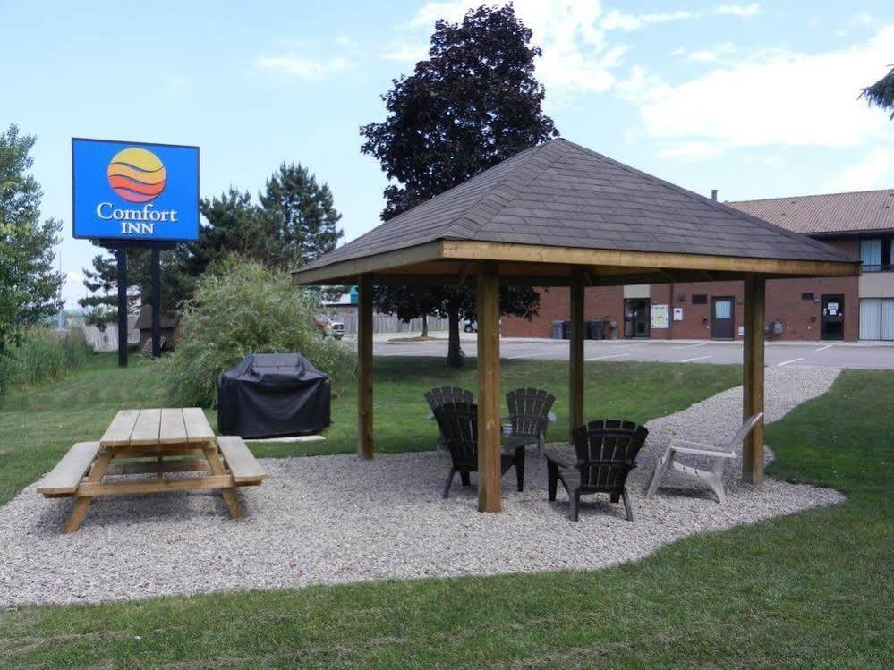 Comfort Inn Гантсвілл Екстер'єр фото
